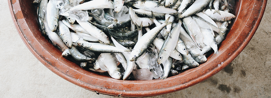 pescado